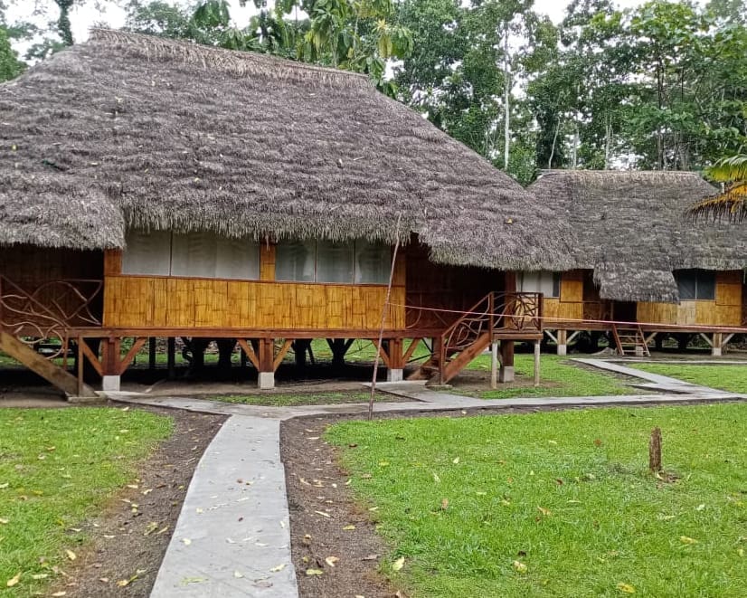 Cabins built from local materials including thatched roofs