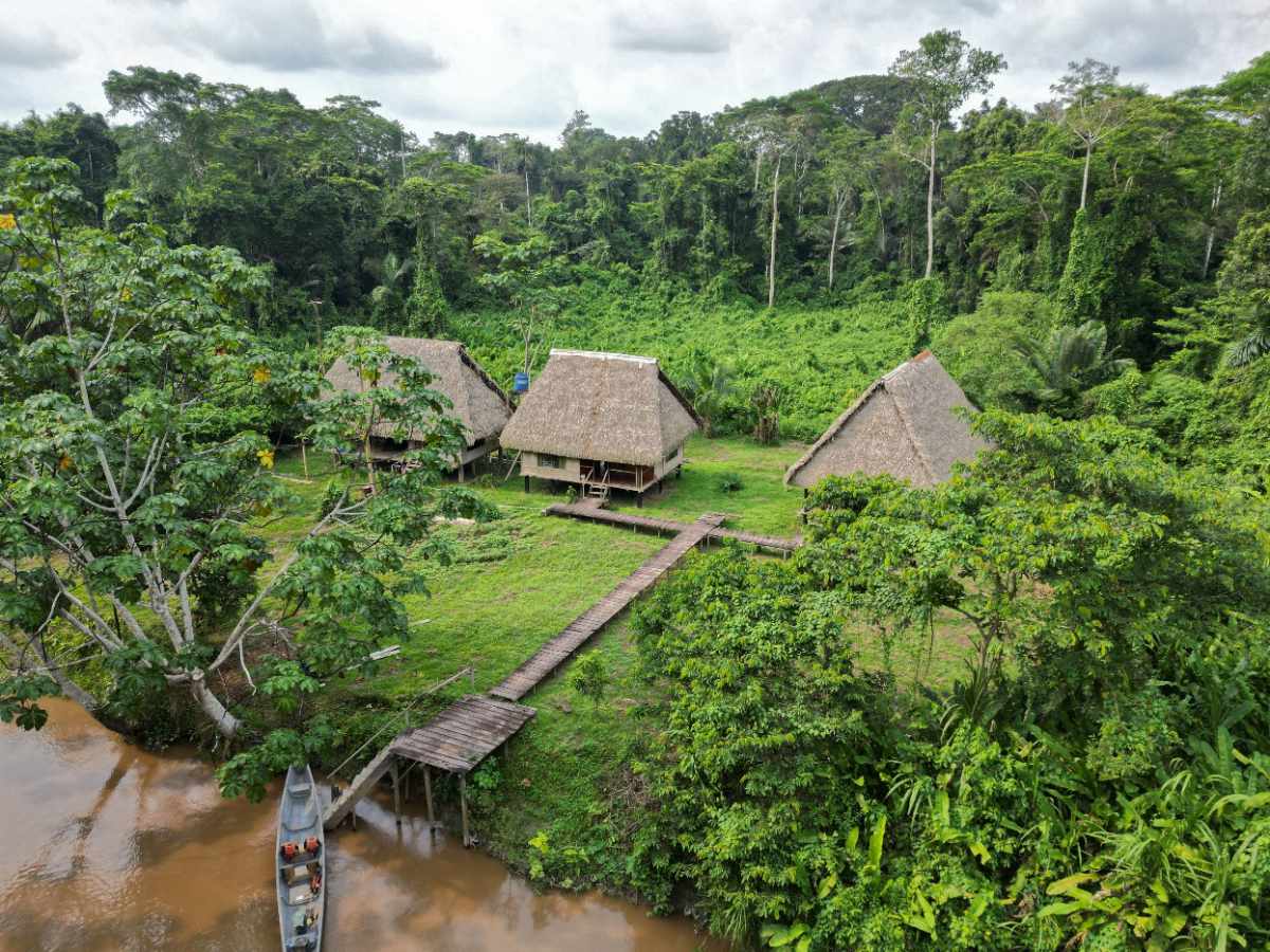 Aerial view of Kichwa Lodge's three thatched-roof buildings connected by raised walkways, with a canoe docked along the river in the Cuyabeno Amazon rainforest