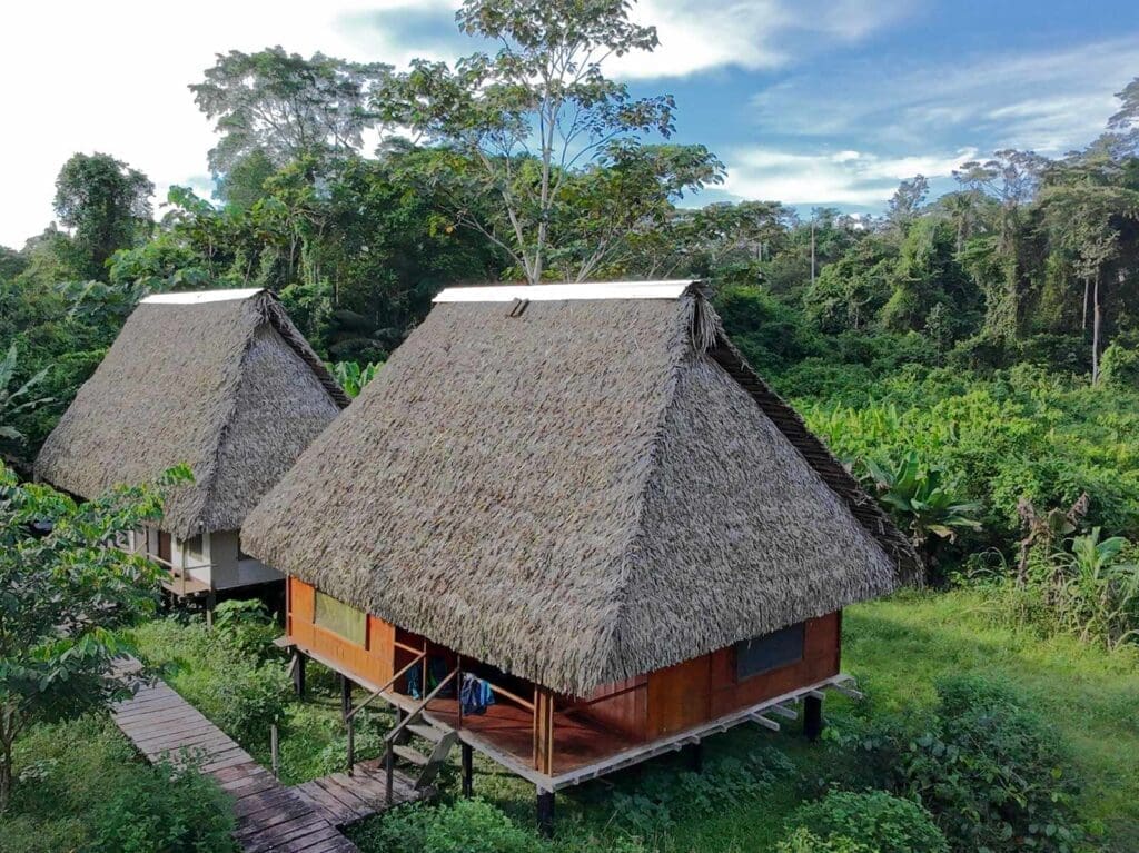 Lodging at the Cuyabeno Kichwa Lodge is built from natural materials, including a traditionally thatched roof like these on our guest cabins.